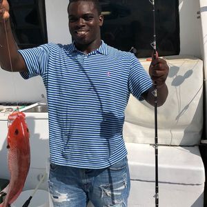 Meet your Posher, Breedlinn